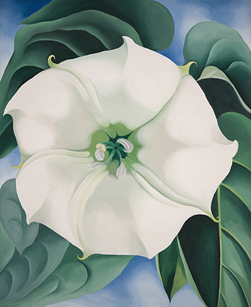 Georgia O’Keeffe, Jimson Weed/White Flower No. 1, 1932. Oil on canvas, Crystal Bridges Museum of American Art, Bentonville, Arkansas, 2014.35. Photograph by Edward C. Robison III. © Georgia O’Keeffe Museum / Bildrecht, Wien, 2016 