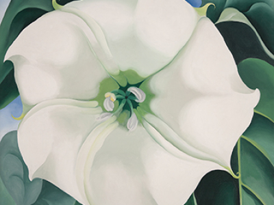 Georgia O’Keeffe, Jimson Weed/White Flower No. 1, 1932. Oil on canvas, Crystal Bridges Museum of American Art, Bentonville, Arkansas, 2014.35. Photograph by Edward C. Robison III. © Georgia O’Keeffe Museum / Bildrecht, Wien, 2016 