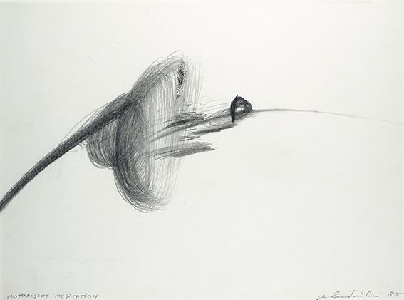 Gerhard Rühm, motorische meditation, 1985, Bleistift auf Papier, 29,6 x 40 cm, Privatsammlung © Foto: N. Lackner/UMJ © Gerhard Rühm