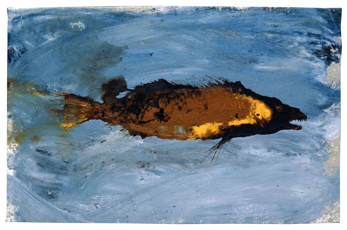 Miquel Barceló, Pejeperro I (Schweinsfisch I), 2001, Mischtechnik auf Leinwand, 64,5 x 98 cm, Privatbesitz, Courtesy Galerie Bruno Bischofberger, Zürich © Courtesy Miquel Barceló