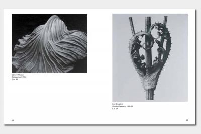 Katalog Fotografis_3 © Bank Austria Kunstforum